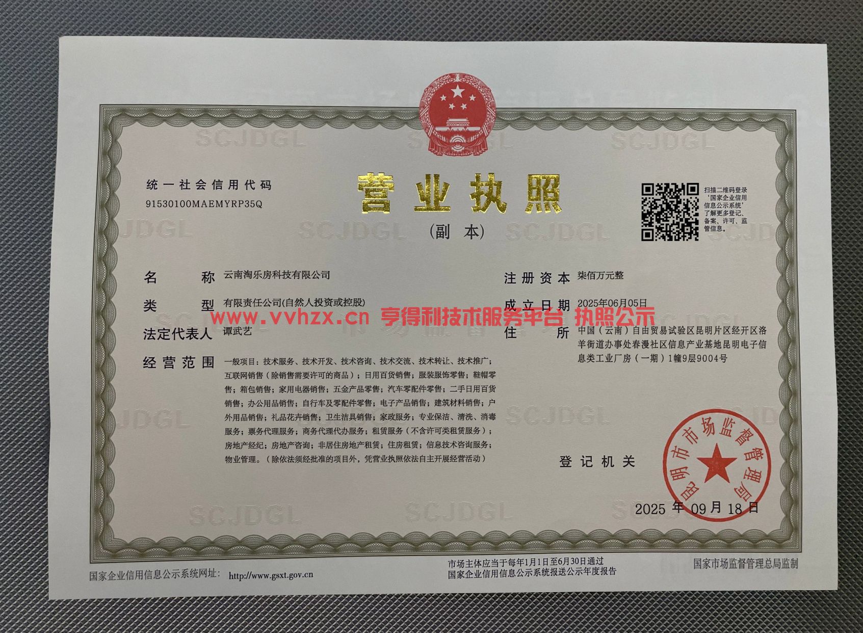 企业执照